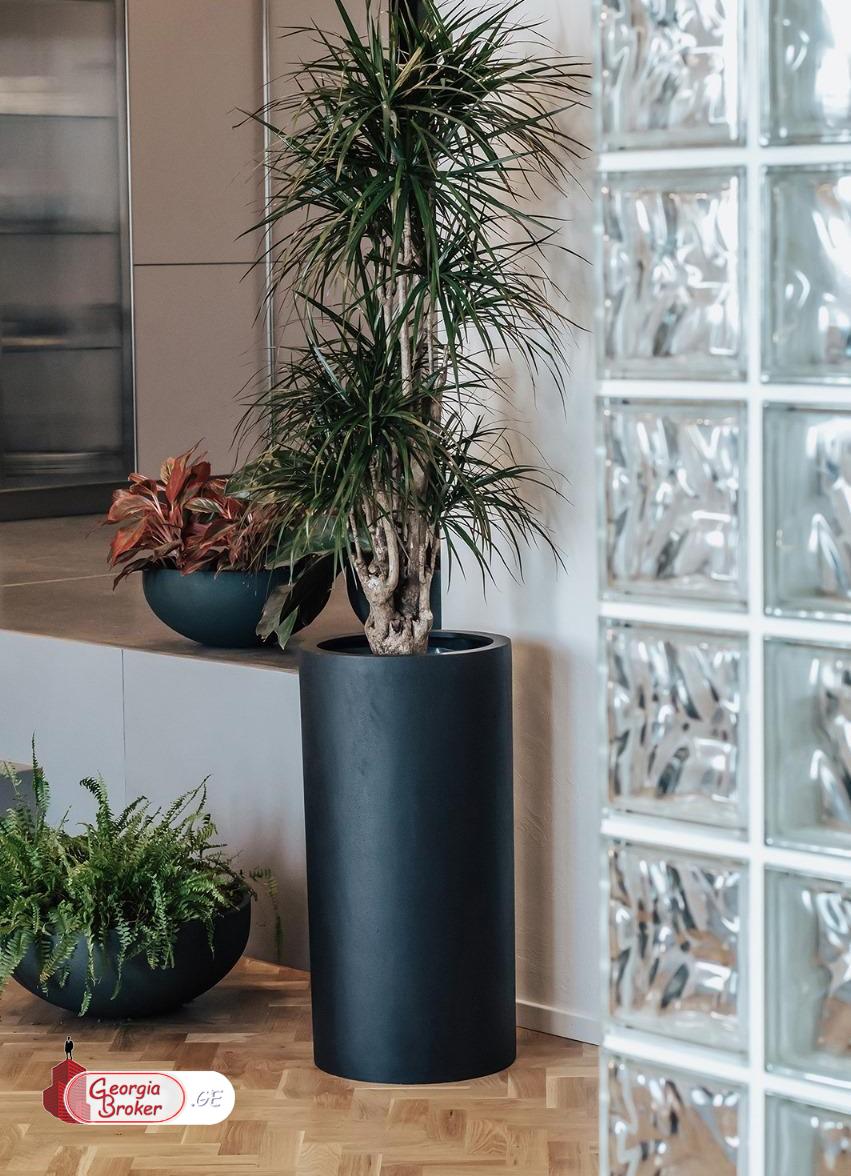 nearly repaired 9-room house for sale